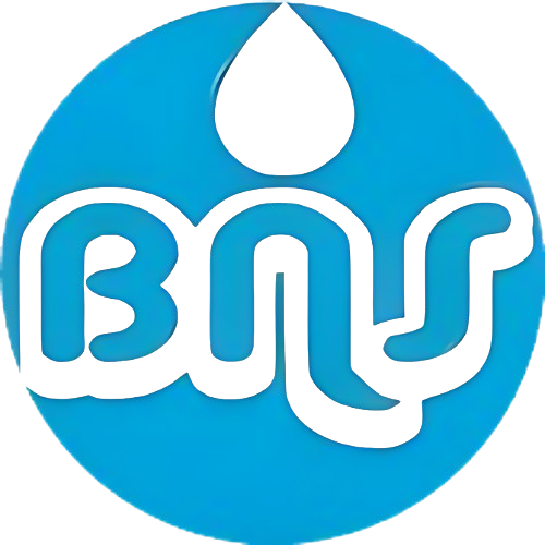 BNS Logo